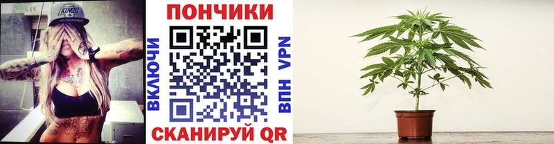 купить наркоту МЕГА как зайти Бошки марихуана MAZAR Когалым